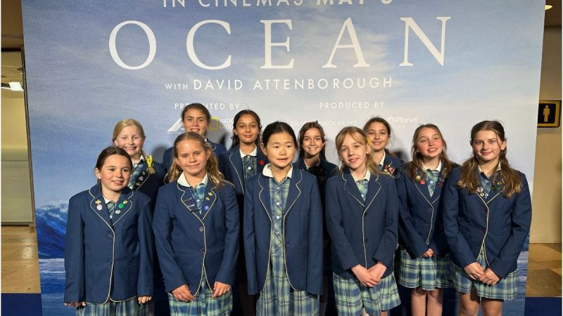 Year 5 and 6 at Ocean with David Attenborough Premier (1)