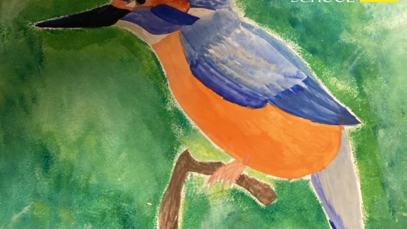 Year 6 Bird Paintings