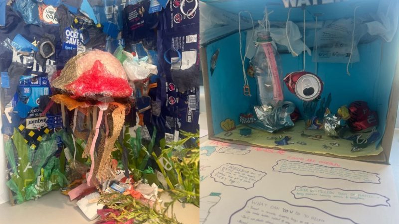 Year 8 Environment Exhibition